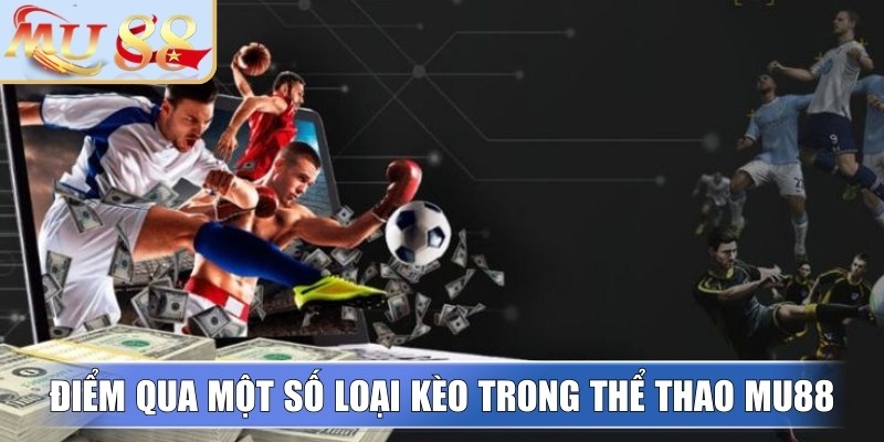 Điểm qua một số loại kèo trong thể thao MU88